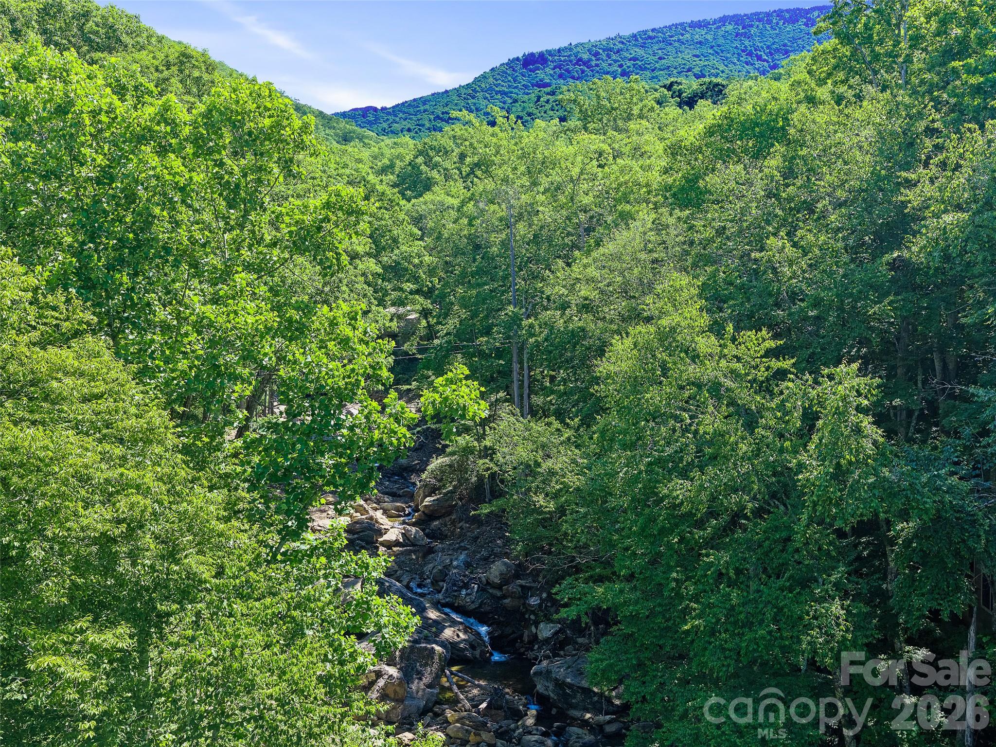 552 North Fork Road Burnsville, NC 28714 - Photo 43 of 48