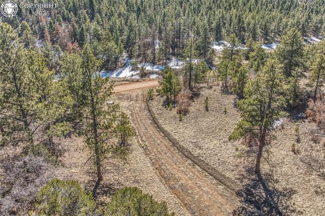 1389 Buttonwood Road Canon City, CO 81212 - Photo 22 of 39 Gallery Image 22