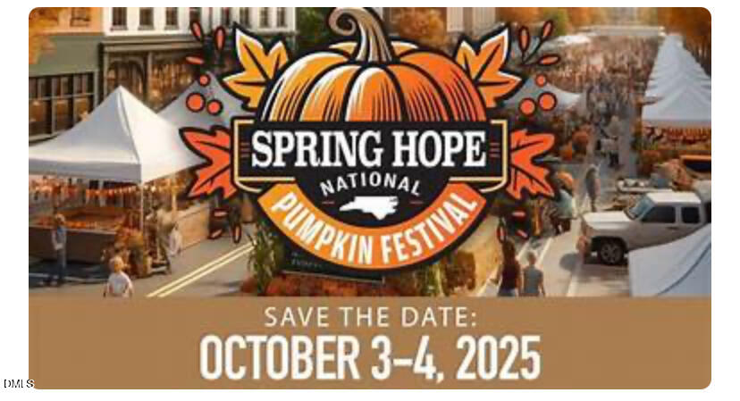 207 North Hopkins Avenue Spring Hope, NC 27882 - Photo 36 of 41 Festival