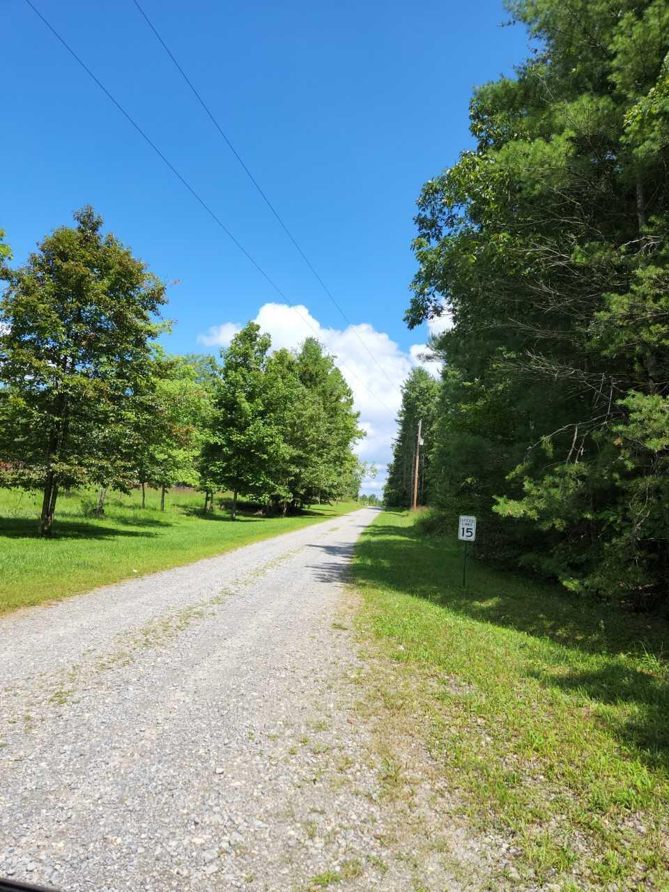 0 Highland Farm Road Callaway, VA 24067 - Photo 1 of 6 a view of a field of grass and trees