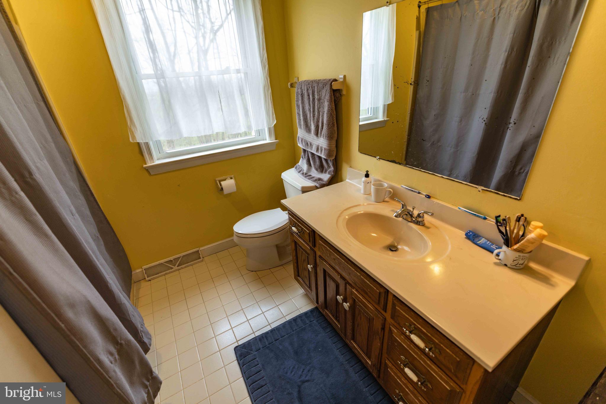 339 Churchtown Road Narvon, PA 17555 - Photo 129 of 150 a bathroom with a sink a toilet and a mirror