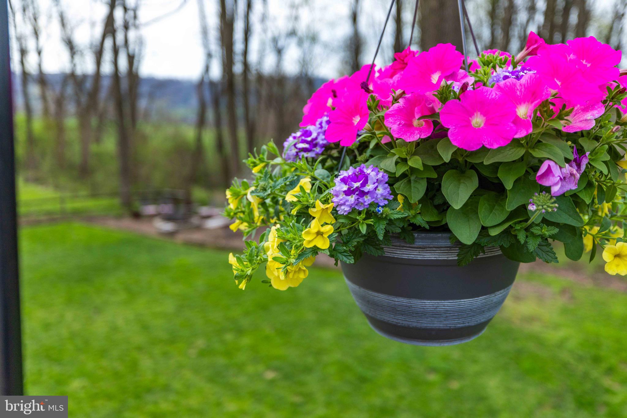339 Churchtown Road Narvon, PA 17555 - Photo 27 of 150 a view of a flower