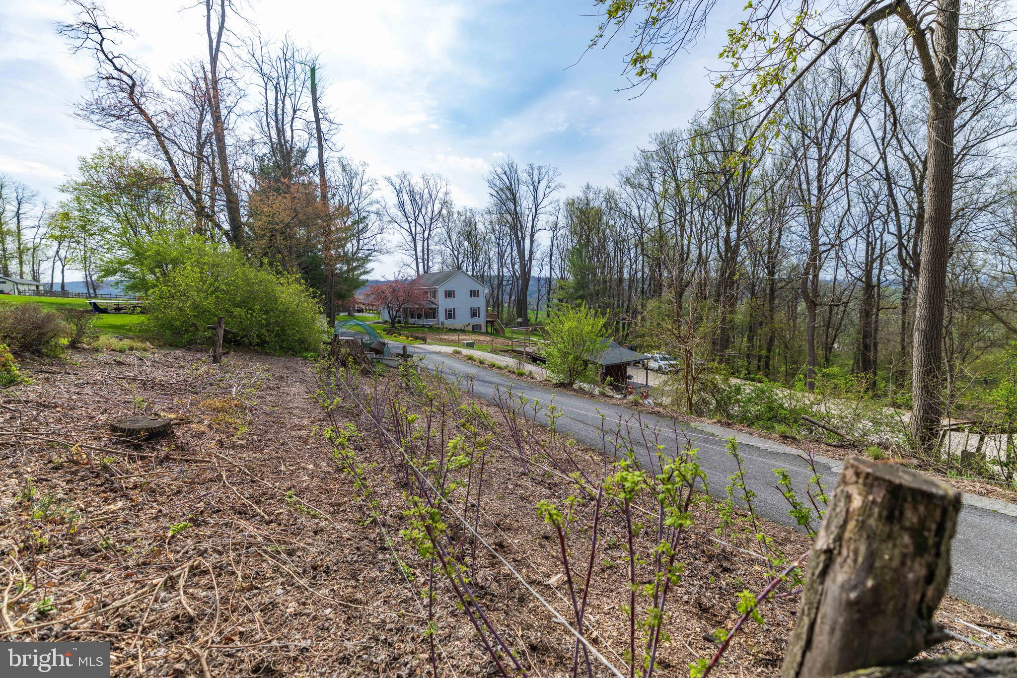339 Churchtown Road Narvon, PA 17555 - Photo 6 of 150