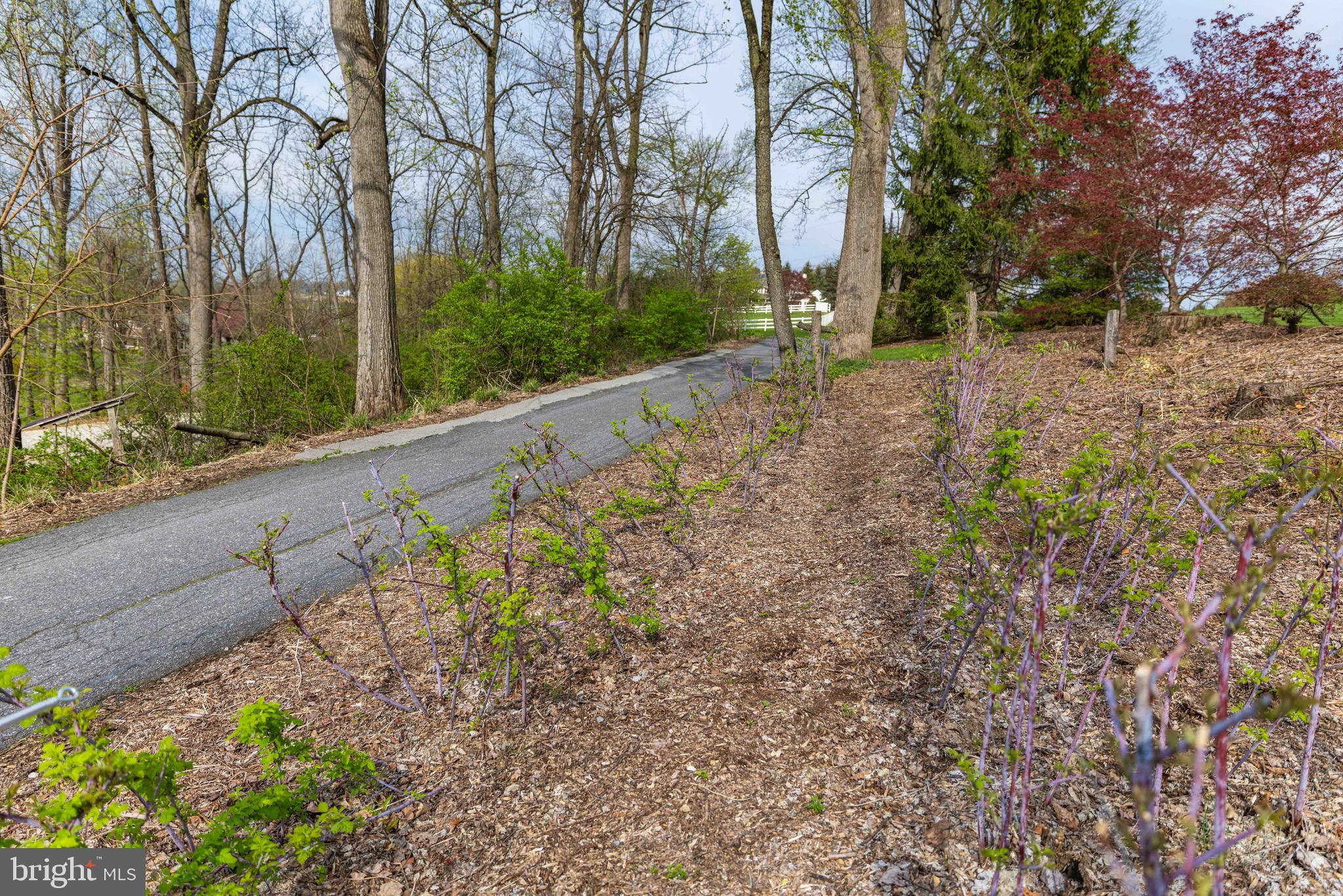 339 Churchtown Road Narvon, PA 17555 - Photo 7 of 150