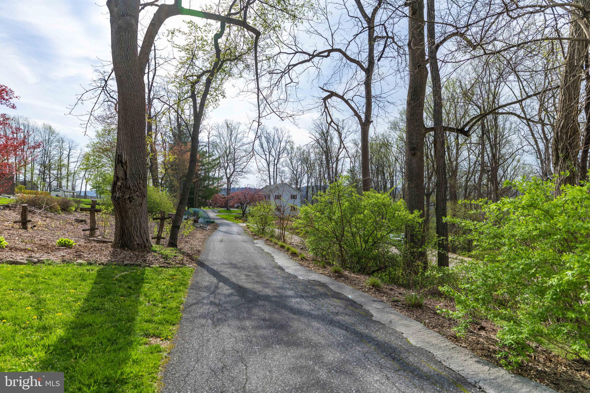 339 Churchtown Road Narvon, PA 17555 - Photo 8 of 150 a view of backyard with green space