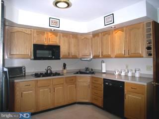 3393 South Keswick Road Philadelphia, PA 19114 - Photo 4 of 6 Gallery Image 4