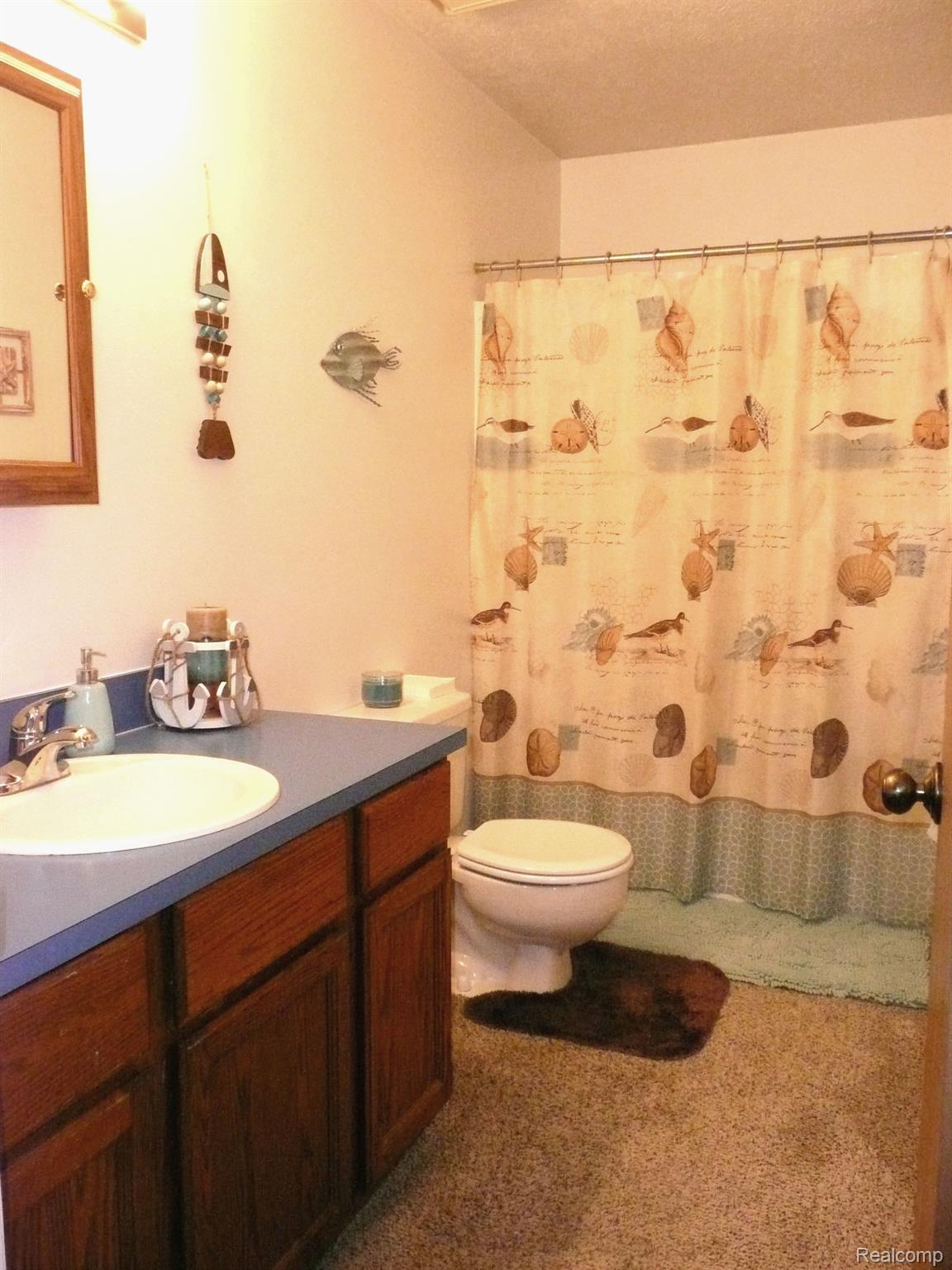 6016 Crandall Road Howell, MI 48855 - Photo 17 of 29 2nd full bath