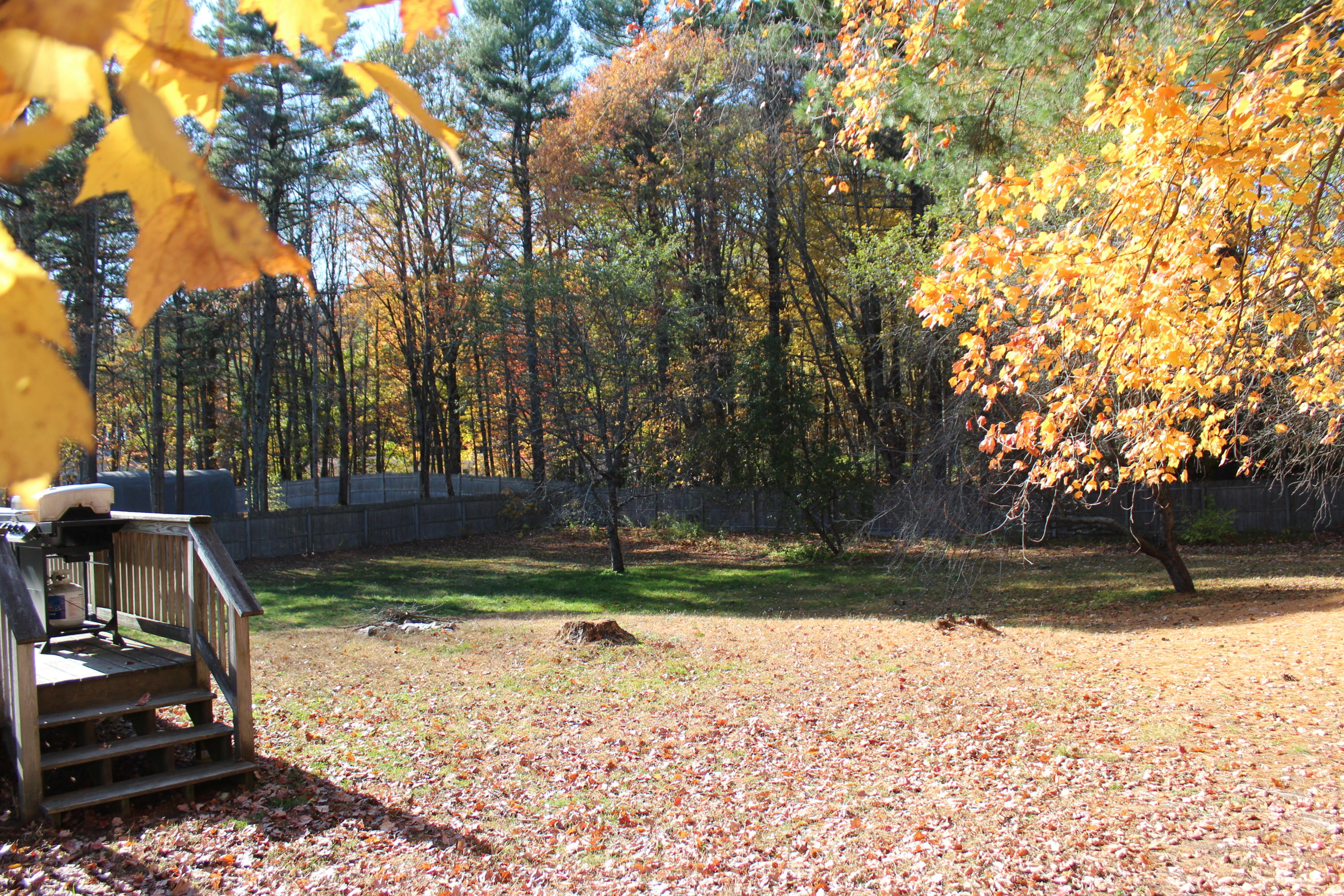 36 Maquoit Road Brunswick, ME 04011 - Photo 15 of 25 IMG_7208