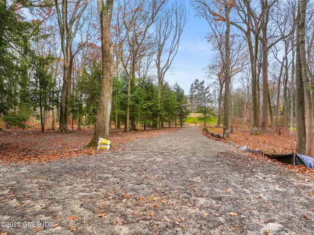 a view of outdoor space with deck and trees