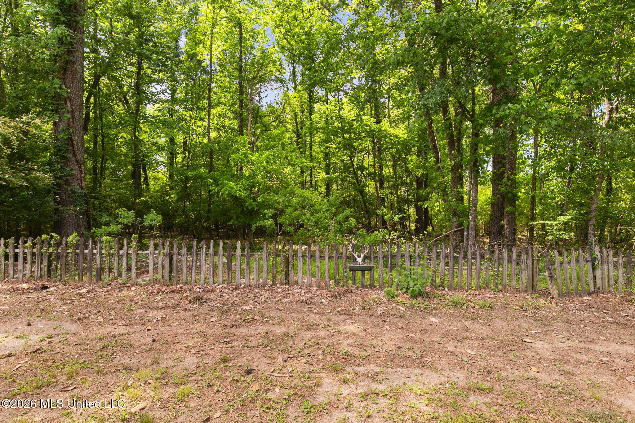 197 Azalea Circle Madison, MS 39110 - Photo 37 of 42 42-web-or-mls-197 Azalea Cir-42
