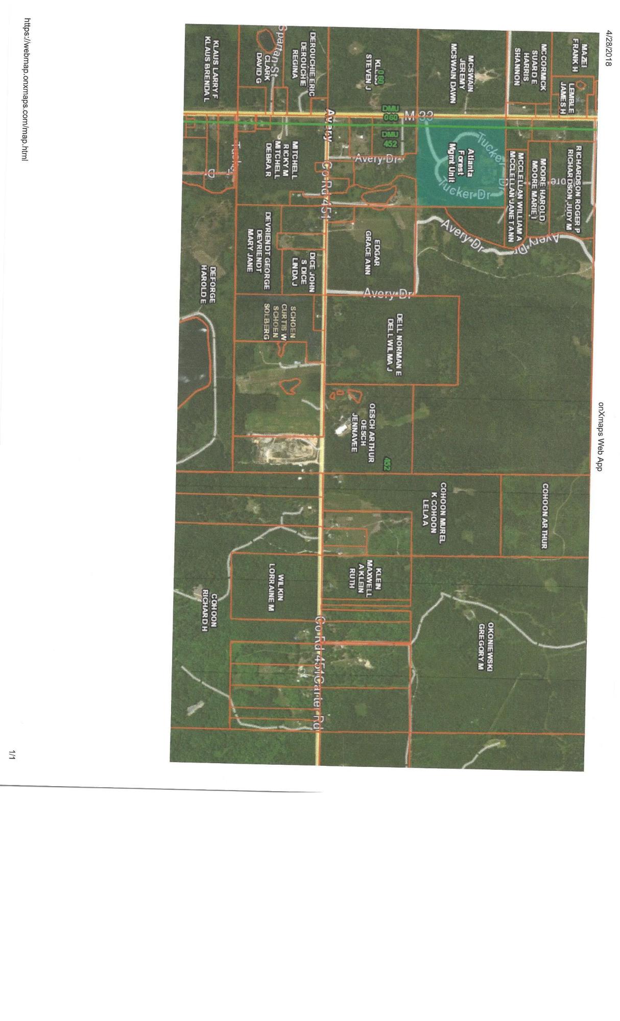 Carter Road Hillman, MI 49746 - Photo 2 of 13 Gallery Image 2