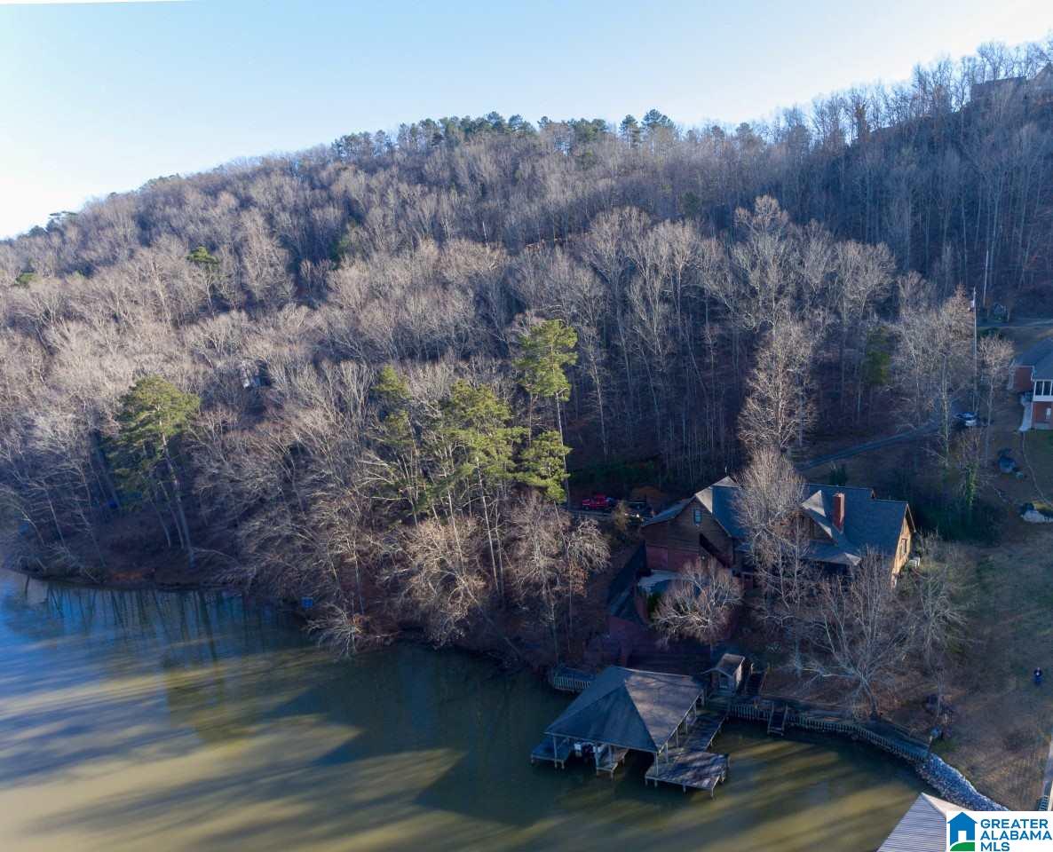 124 Boulder Point Lane Ohatchee, AL 36271 - Photo 43 of 44