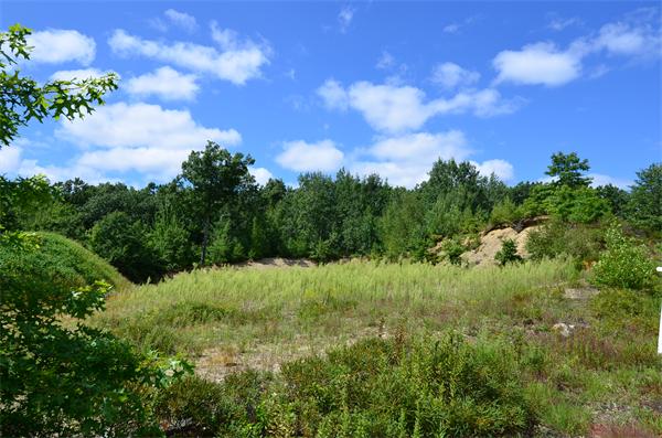 Lot 18 Fox Run Road Bolton, MA 01740 - Photo 2 of 2 Gallery Image 2
