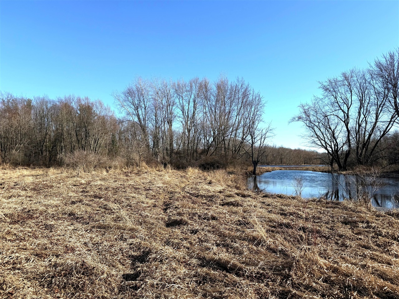 Vl East Dowling Road Dowling, MI 49050 - Photo 2 of 2