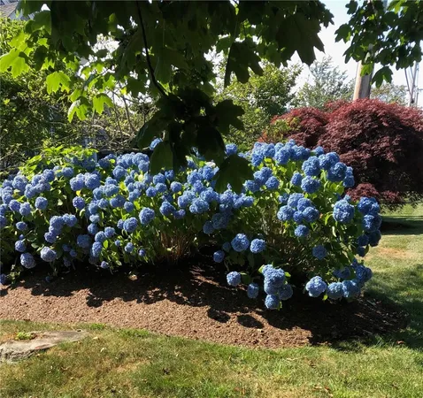 $10,000 | 611 Wolcott Avenue, Middletown, RI 02842