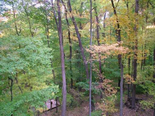 9640 Joslin Lake Road Gregory, MI 48137 - Photo 8 of 8 Photo 8
