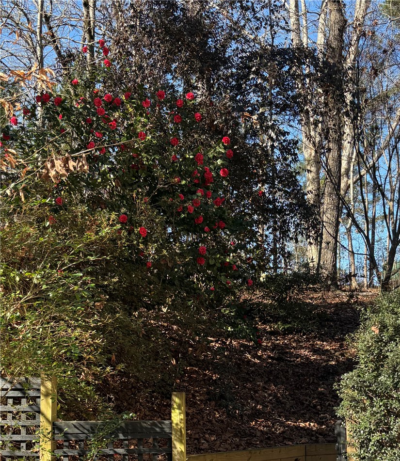 2011 Ridgeview Lane Seneca, SC 29678 - Photo 5 of 34