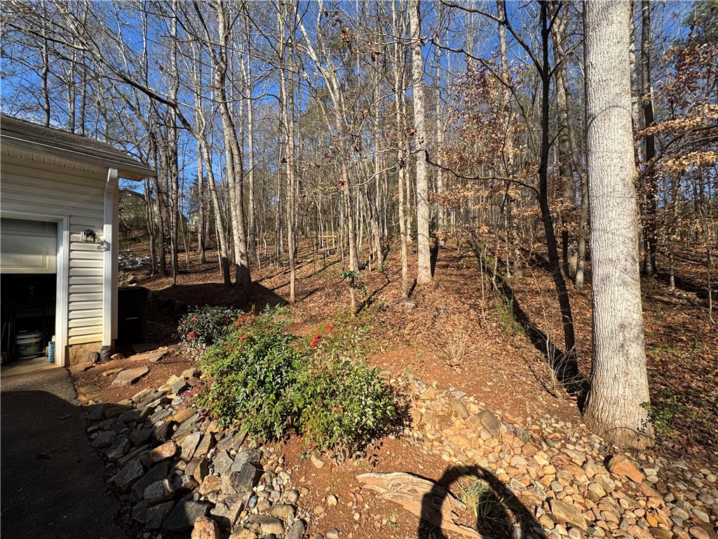 2011 Ridgeview Lane Seneca, SC 29678 - Photo 6 of 30 Will not be built on.