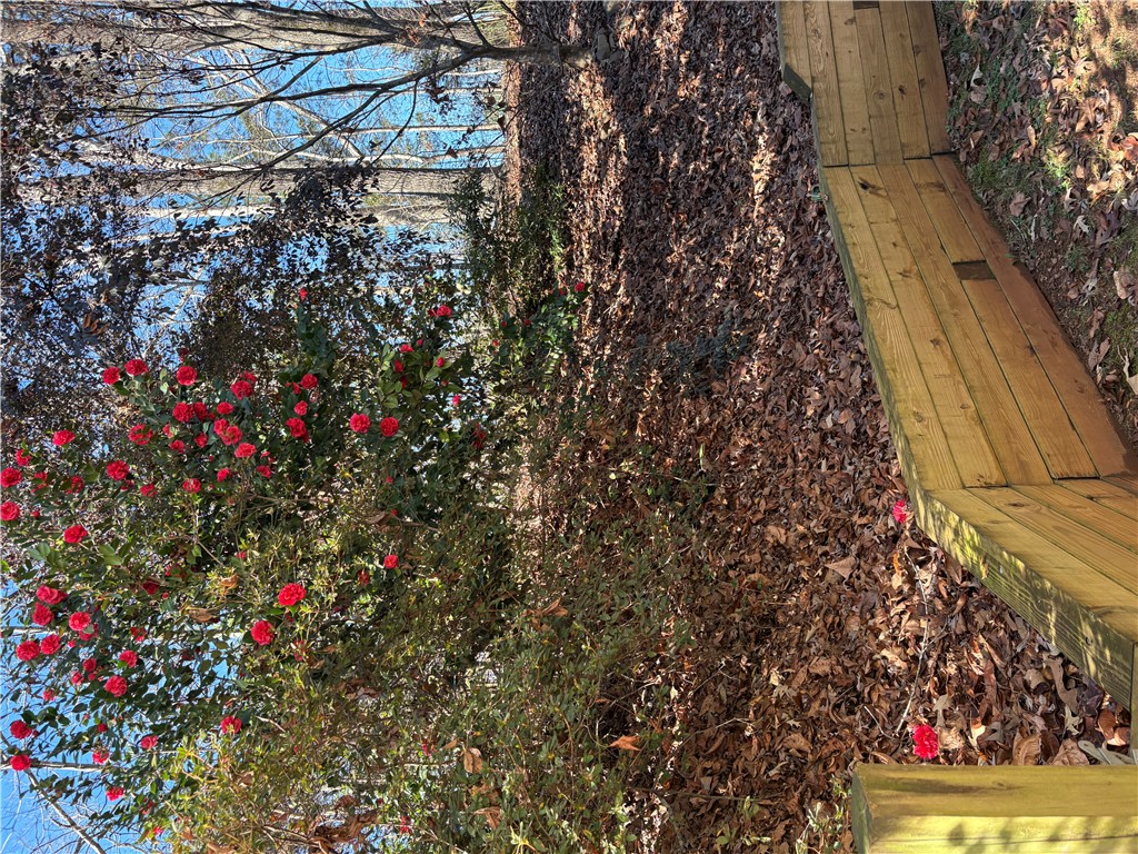 2011 Ridgeview Lane Seneca, SC 29678 - Photo 6 of 34 Mature Landscaping.