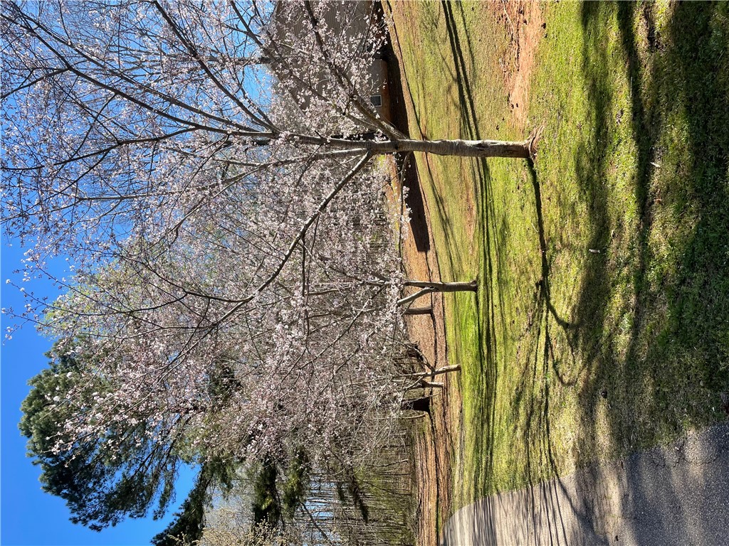 2011 Ridgeview Lane Seneca, SC 29678 - Photo 7 of 34 Private tree lined entrance.