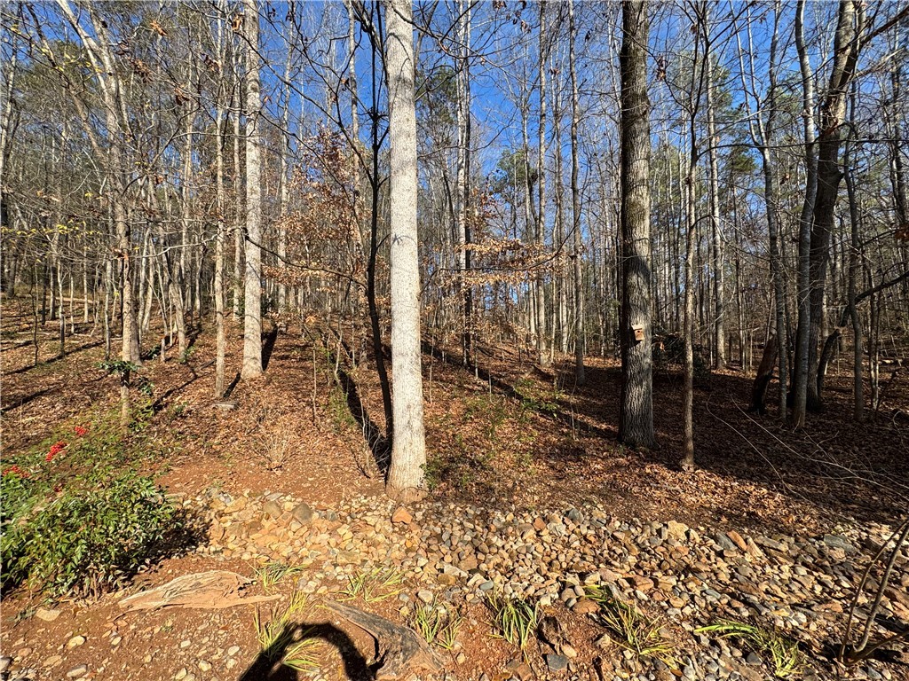 2011 Ridgeview Lane Seneca, SC 29678 - Photo 8 of 34 Wooded surroundings