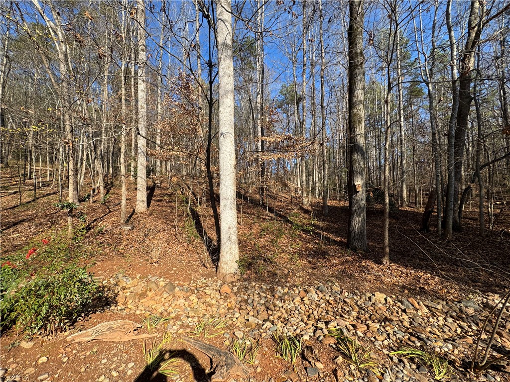 2011 Ridgeview Lane Seneca, SC 29678 - Photo 8 of 34 Wooded surroundings
