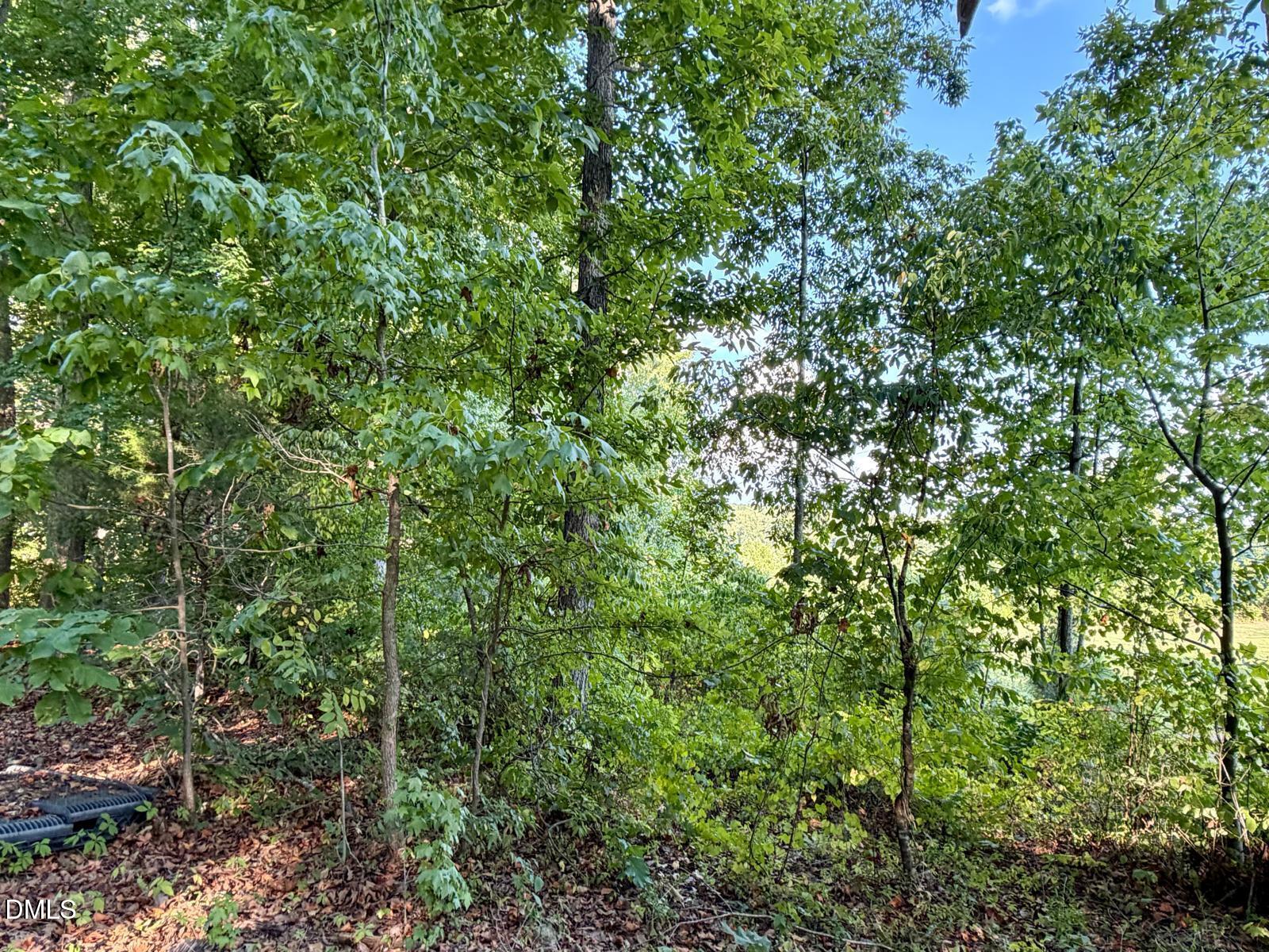 0 Satterwhite Point Road Henderson, NC 27537 - Photo 15 of 15 4