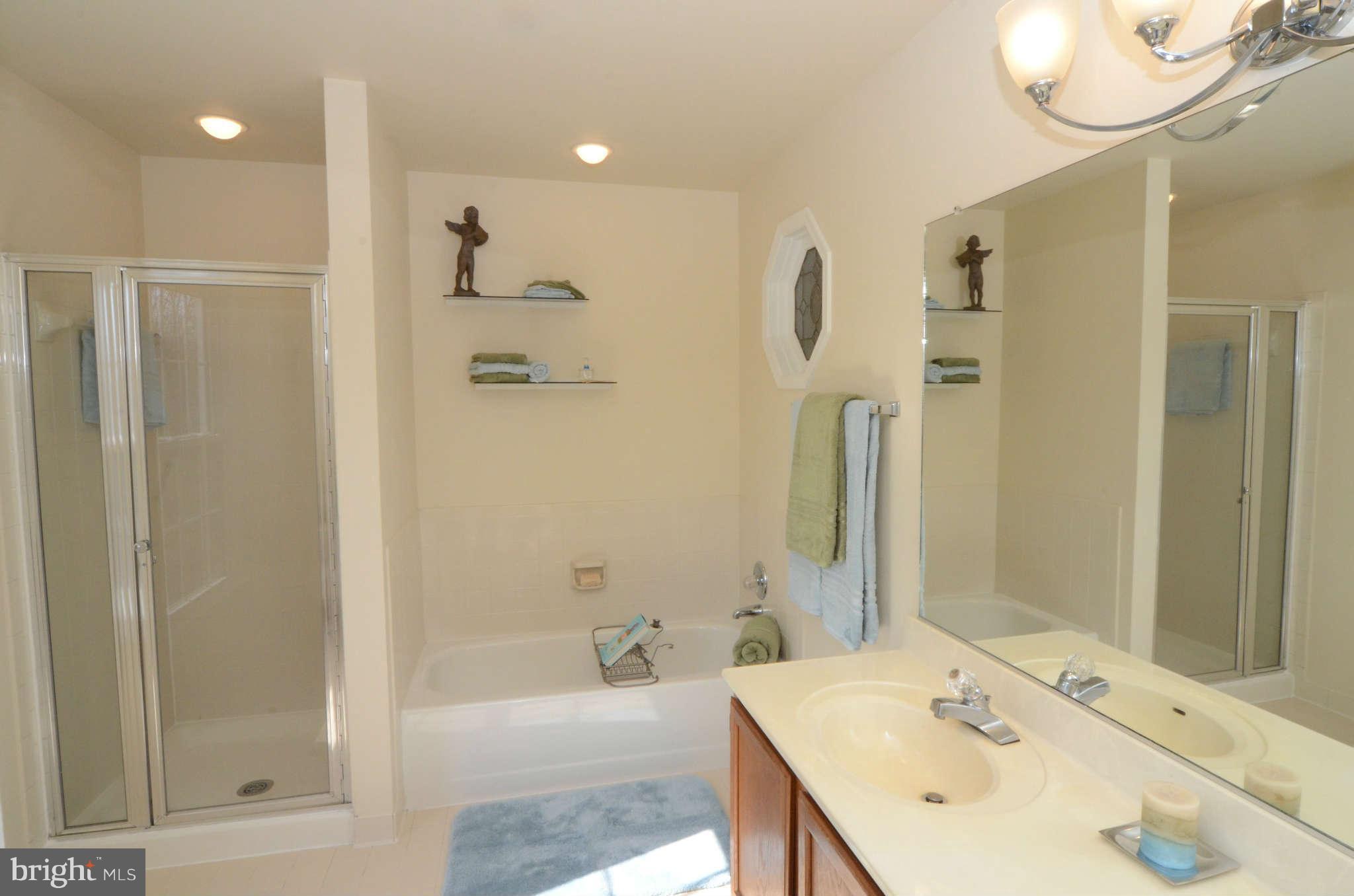 10816 Game Preserve Road Gaithersburg, MD 20879 - Photo 16 of 21 Bath (Master)