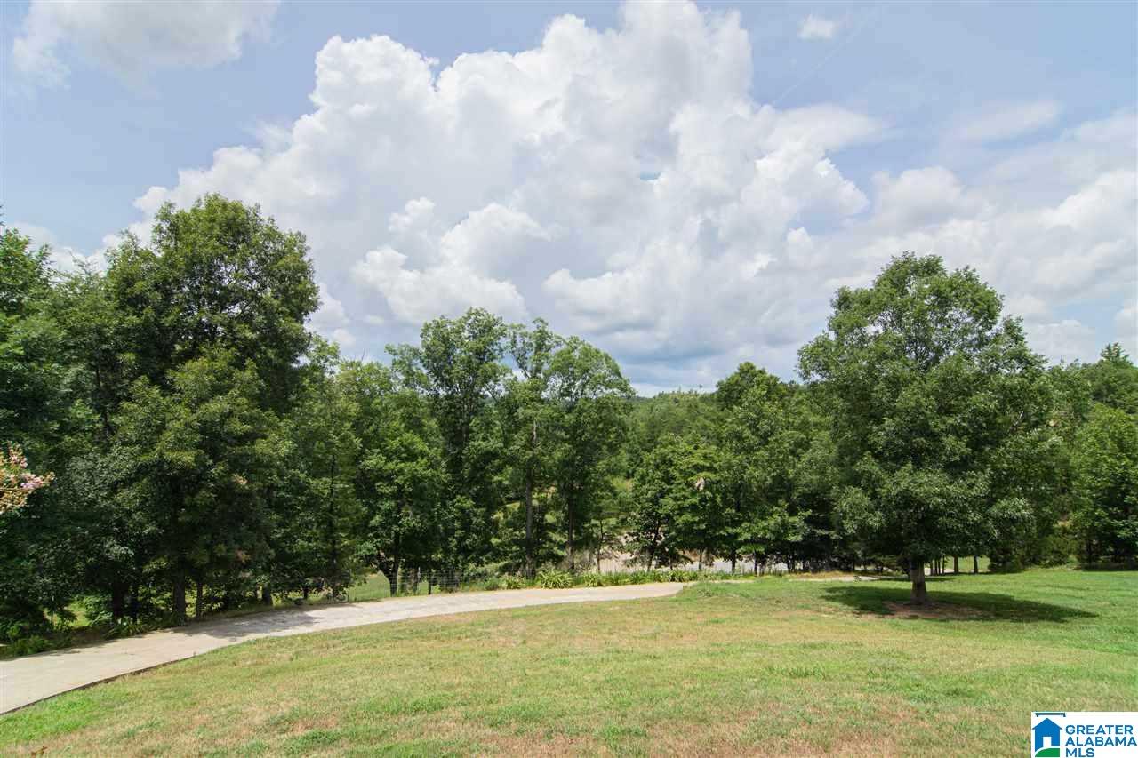 3174 Valley Ford Road Adger, AL 35006 - Photo 44 of 44