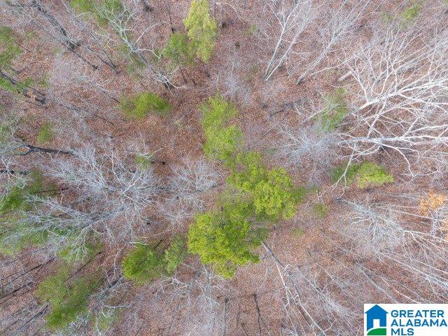 8730 Pine Mountain Road Pinson, AL 35126 - Photo 4 of 5