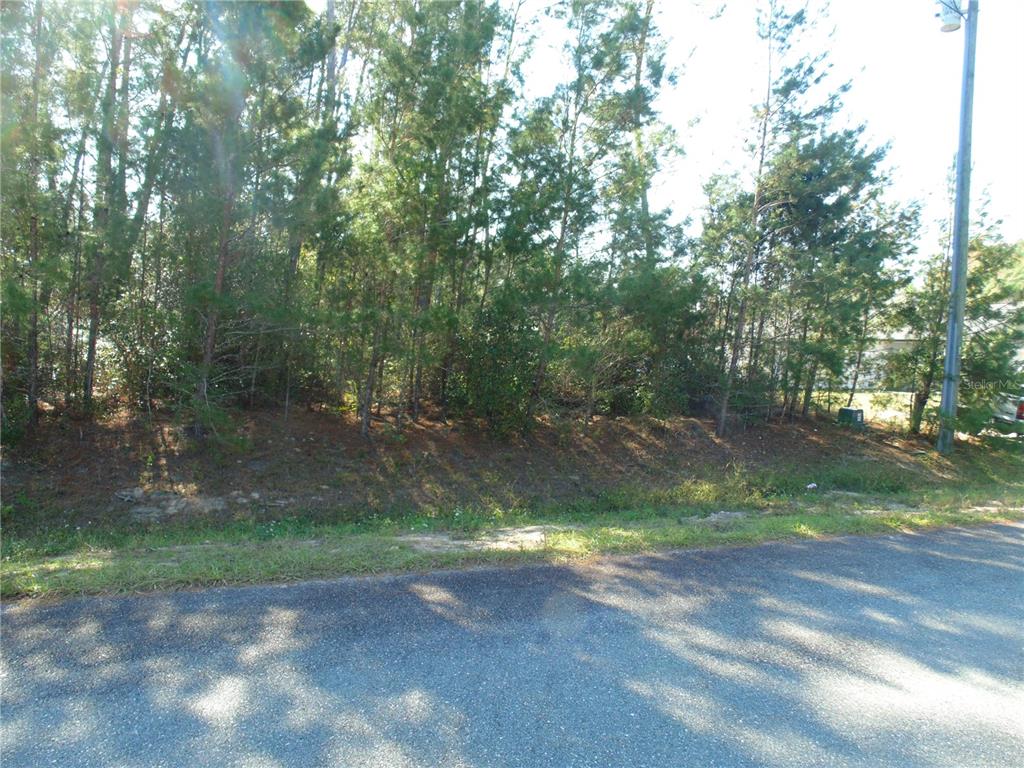 112 112th Ocala, FL 34476 - Photo 3 of 5 a view of a yard with a tree