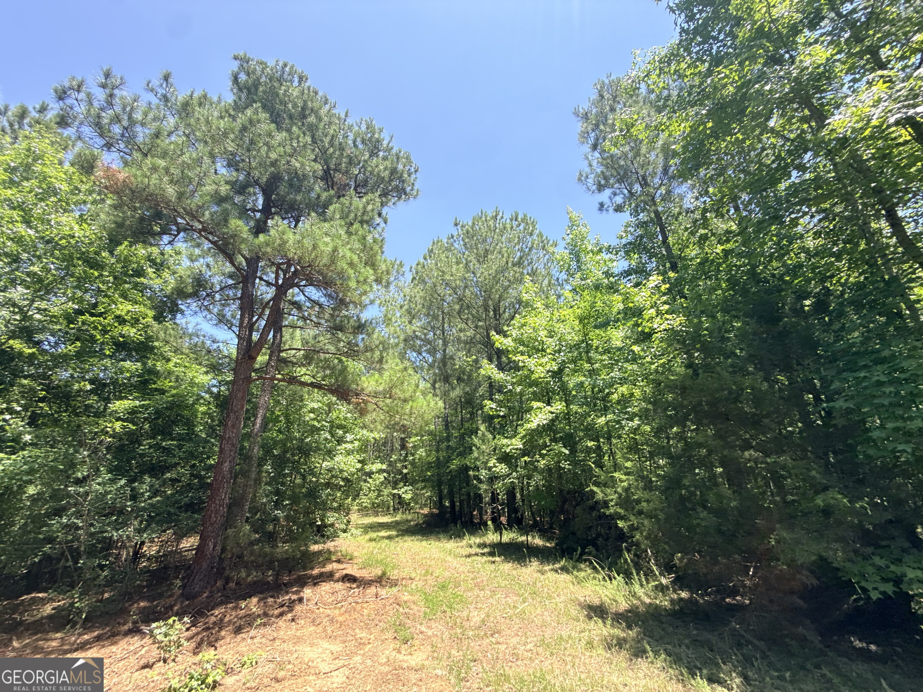 2807 Cedar Creek Road Elberton, GA 30635 - Photo 14 of 109