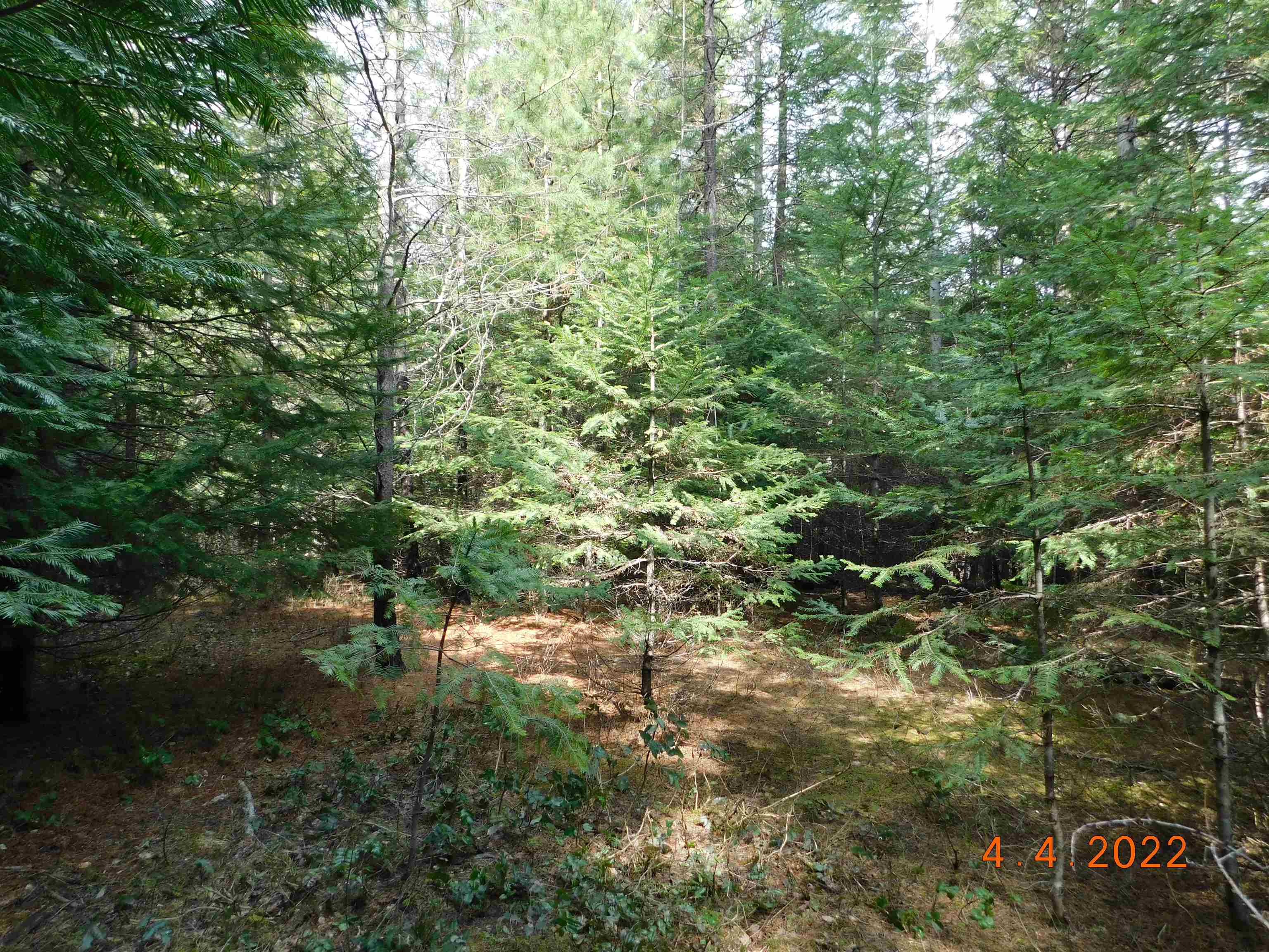 741 Levitch Road Newport, WA 99156 - Photo 11 of 26