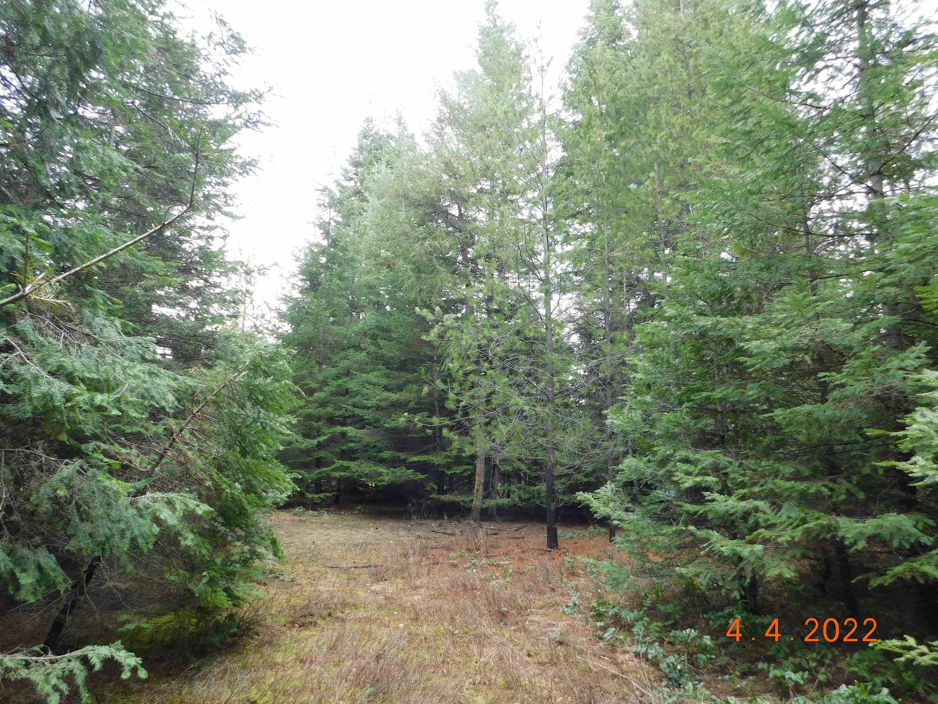 741 Levitch Road Newport, WA 99156 - Photo 17 of 26