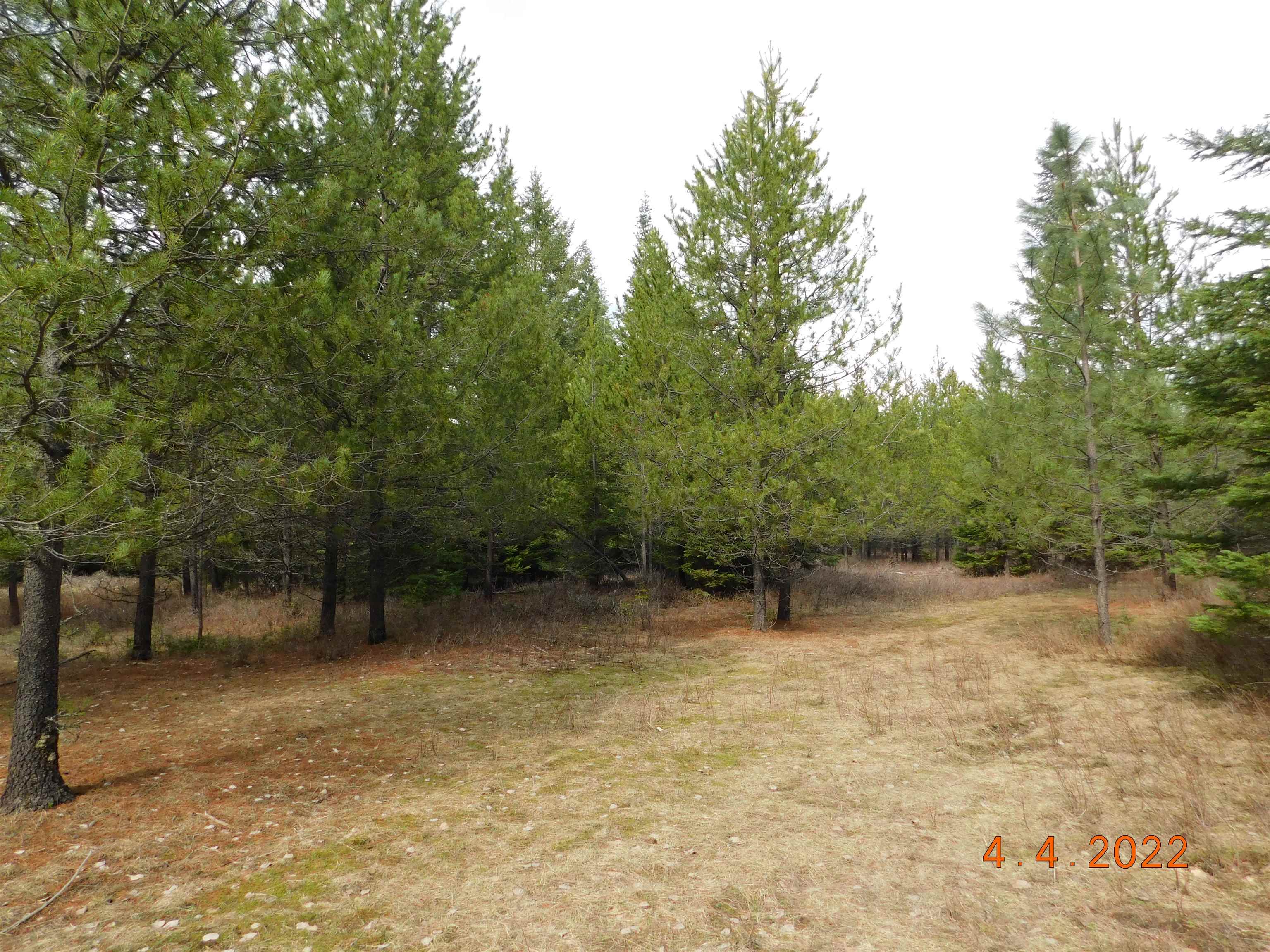 741 Levitch Road Newport, WA 99156 - Photo 20 of 26
