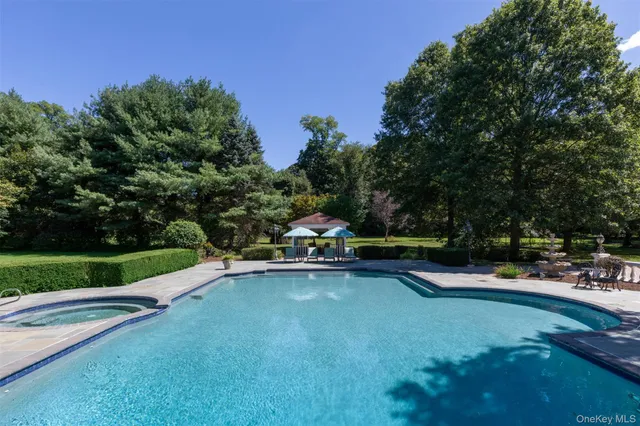 a view of swimming pool with lawn chairs and plants