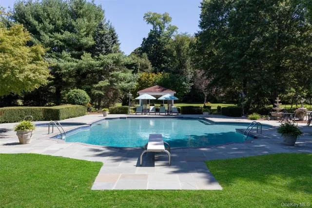 a view of a park with large trees