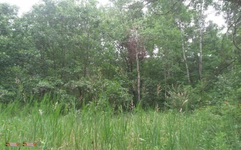 Chickering Road Belding, MI 48809 - Photo 1 of 1 Primary Photo