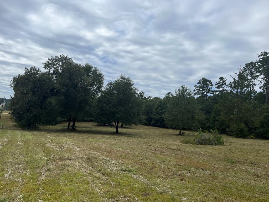 Tbd East Washington Street Abbeville, AL 36310 - Photo 1 of 2 Main View
