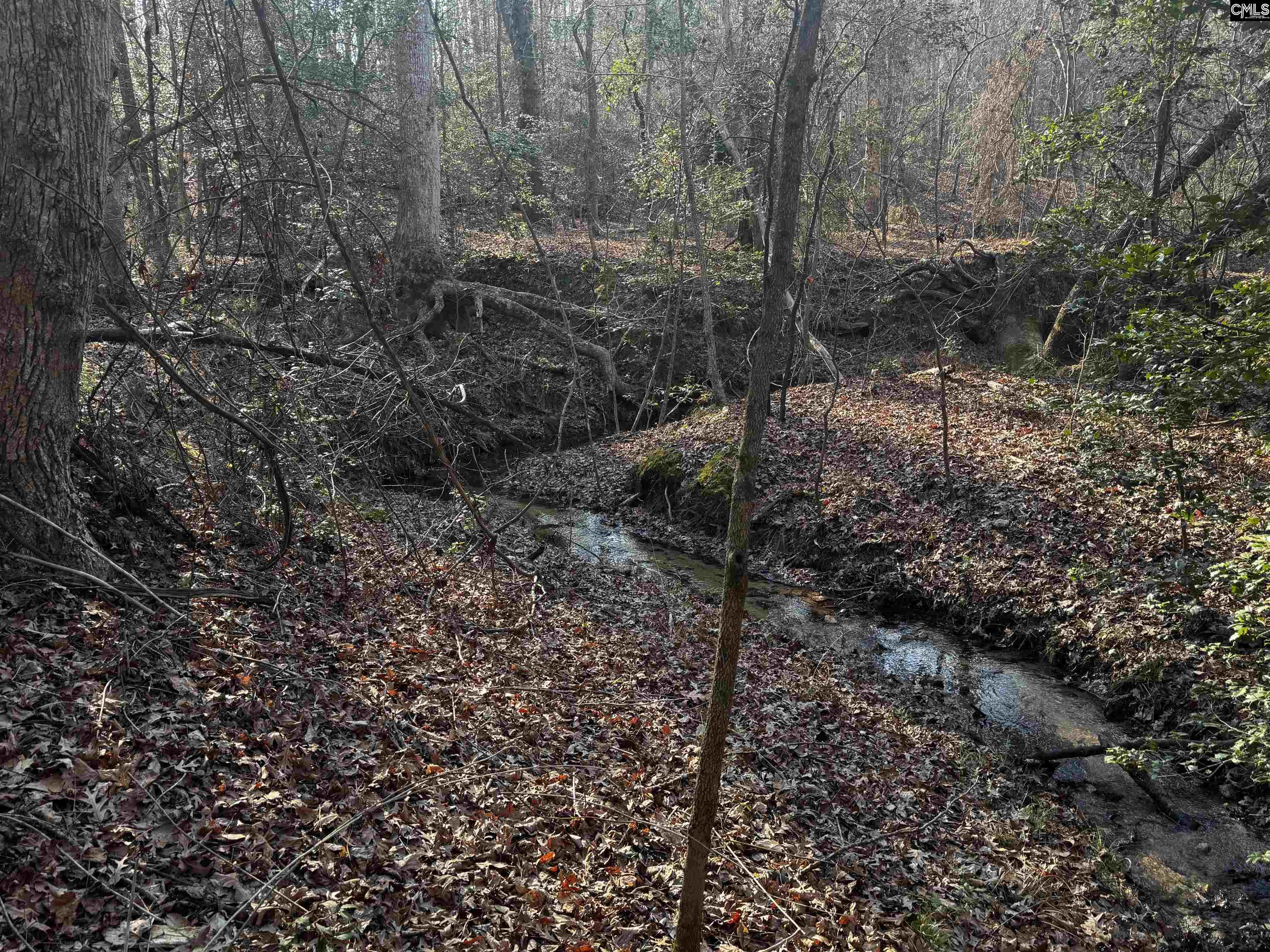0 Mann Road Winnsboro, SC 29180 - Photo 6 of 22