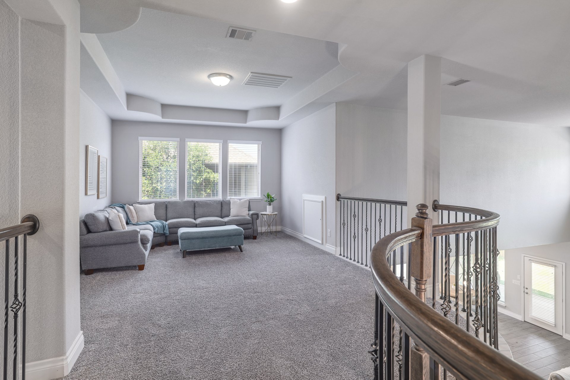 1513 Lakeside Ranch Road Georgetown, TX 78633 - Photo 33 of 40 Living area with a raised ceiling, plenty of natural light, and carpet flooring
