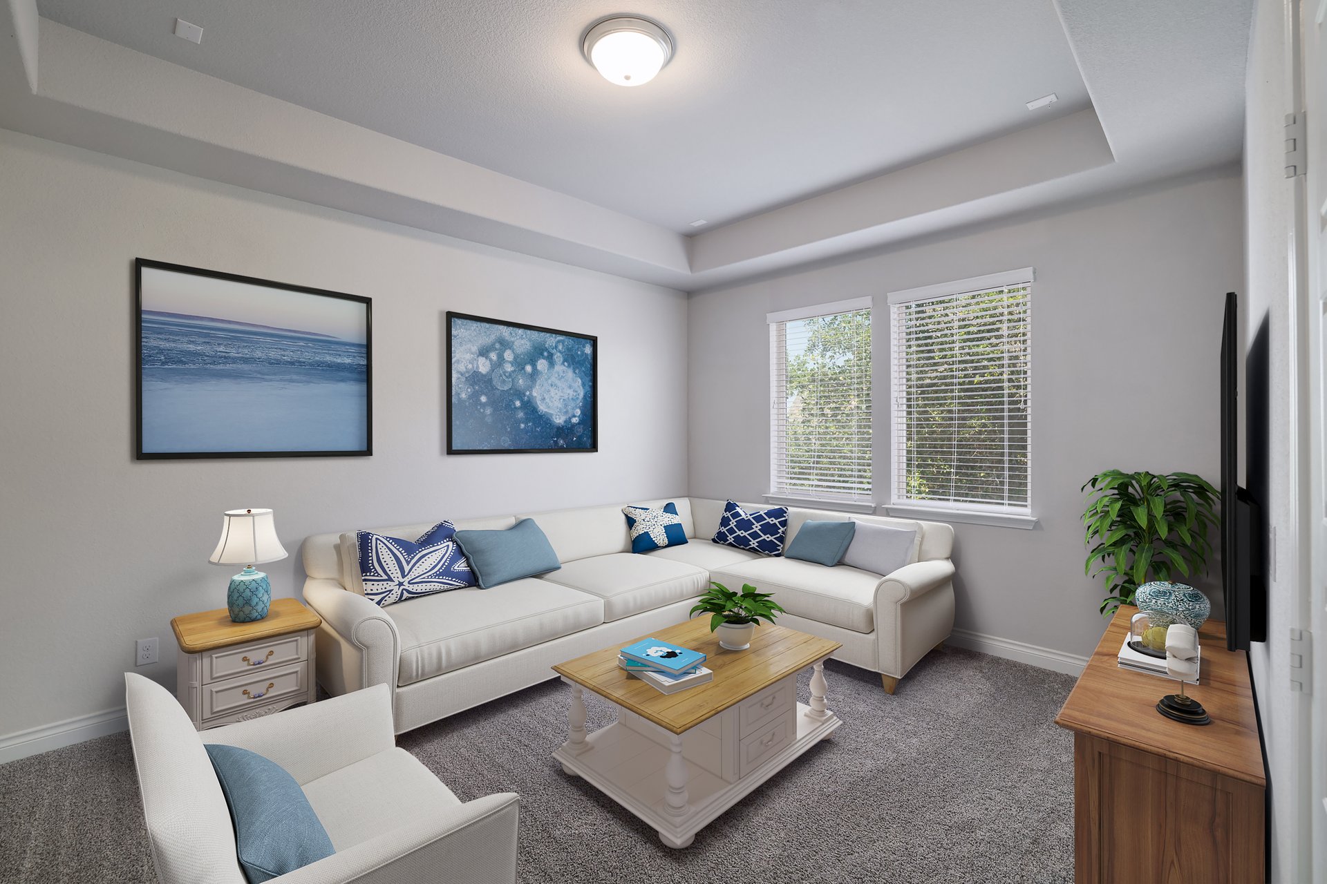 1513 Lakeside Ranch Road Georgetown, TX 78633 - Photo 34 of 40 Living area featuring a tray ceiling and dark carpet