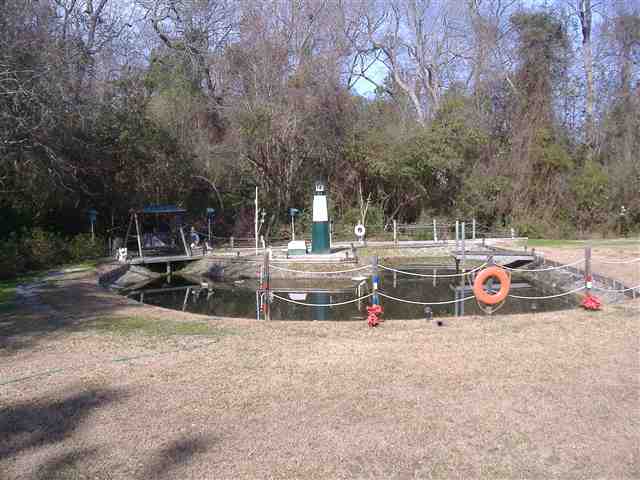 718 Hawk Street Loris, SC 29569 - Photo 11 of 15