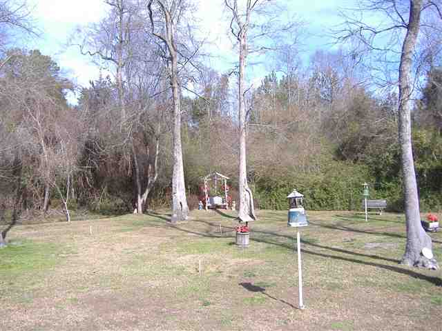 718 Hawk Street Loris, SC 29569 - Photo 13 of 15
