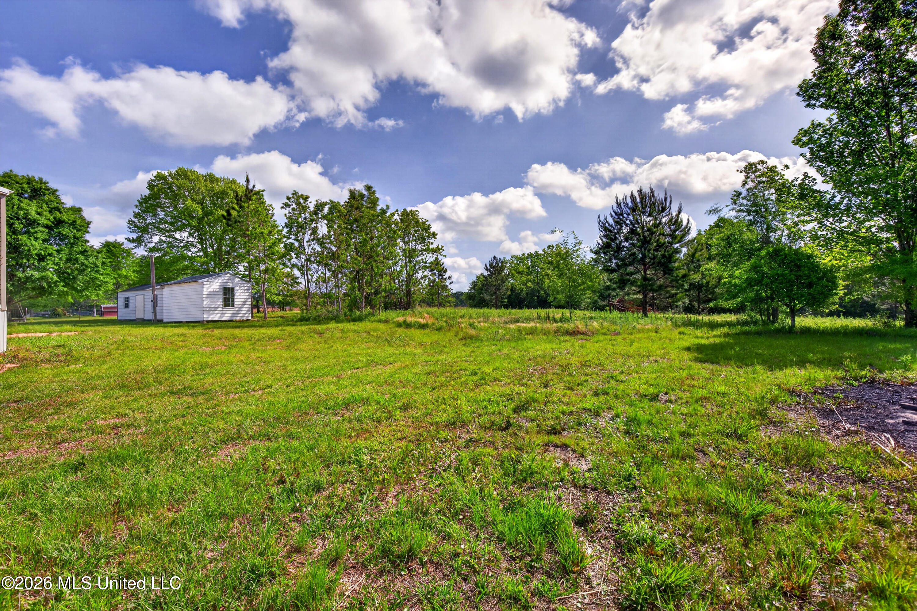 39 Johnson Road Poplarville, MS 39470 - Photo 18 of 23 IMG_5945