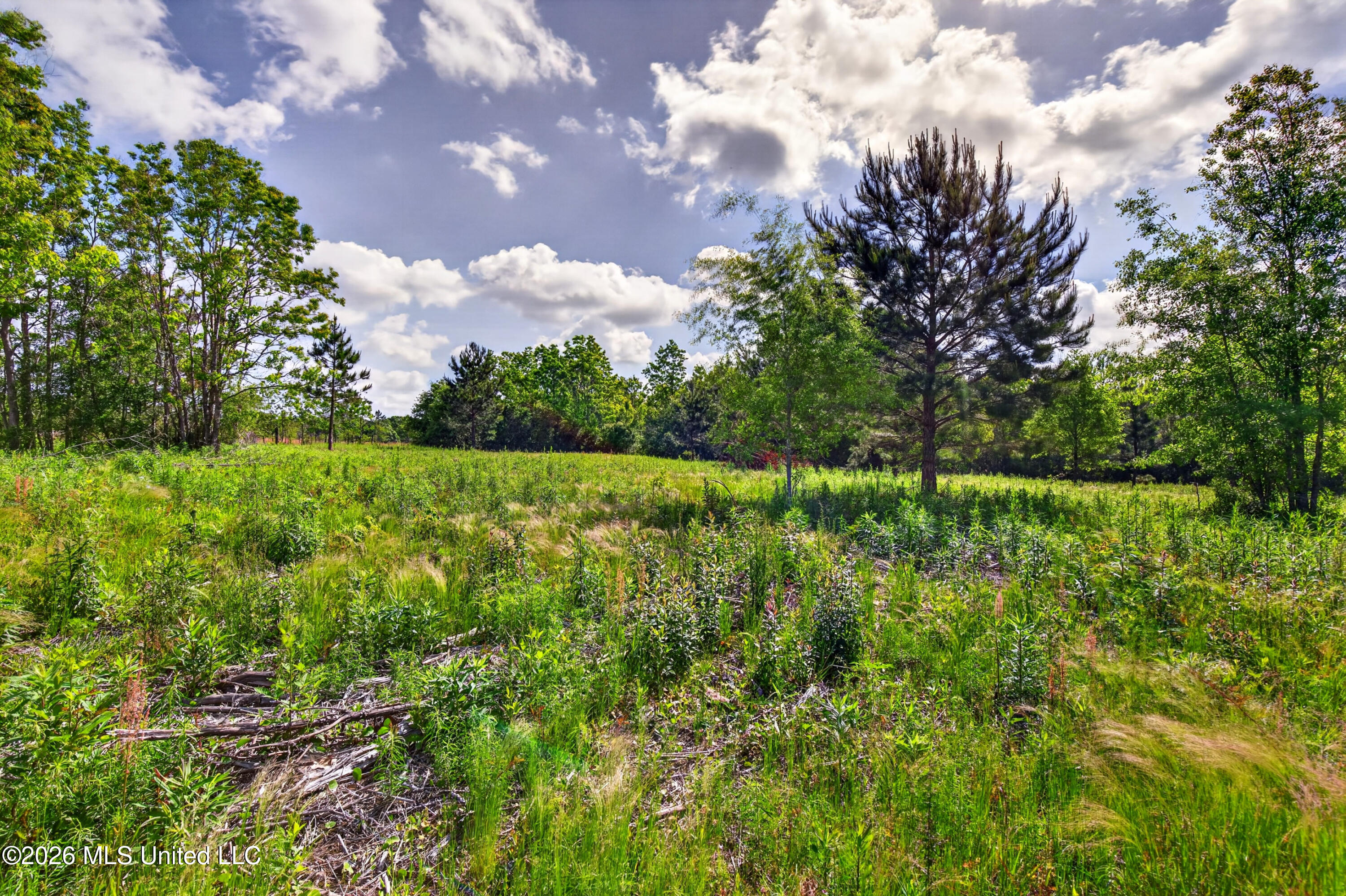 39 Johnson Road Poplarville, MS 39470 - Photo 19 of 23 IMG_5948