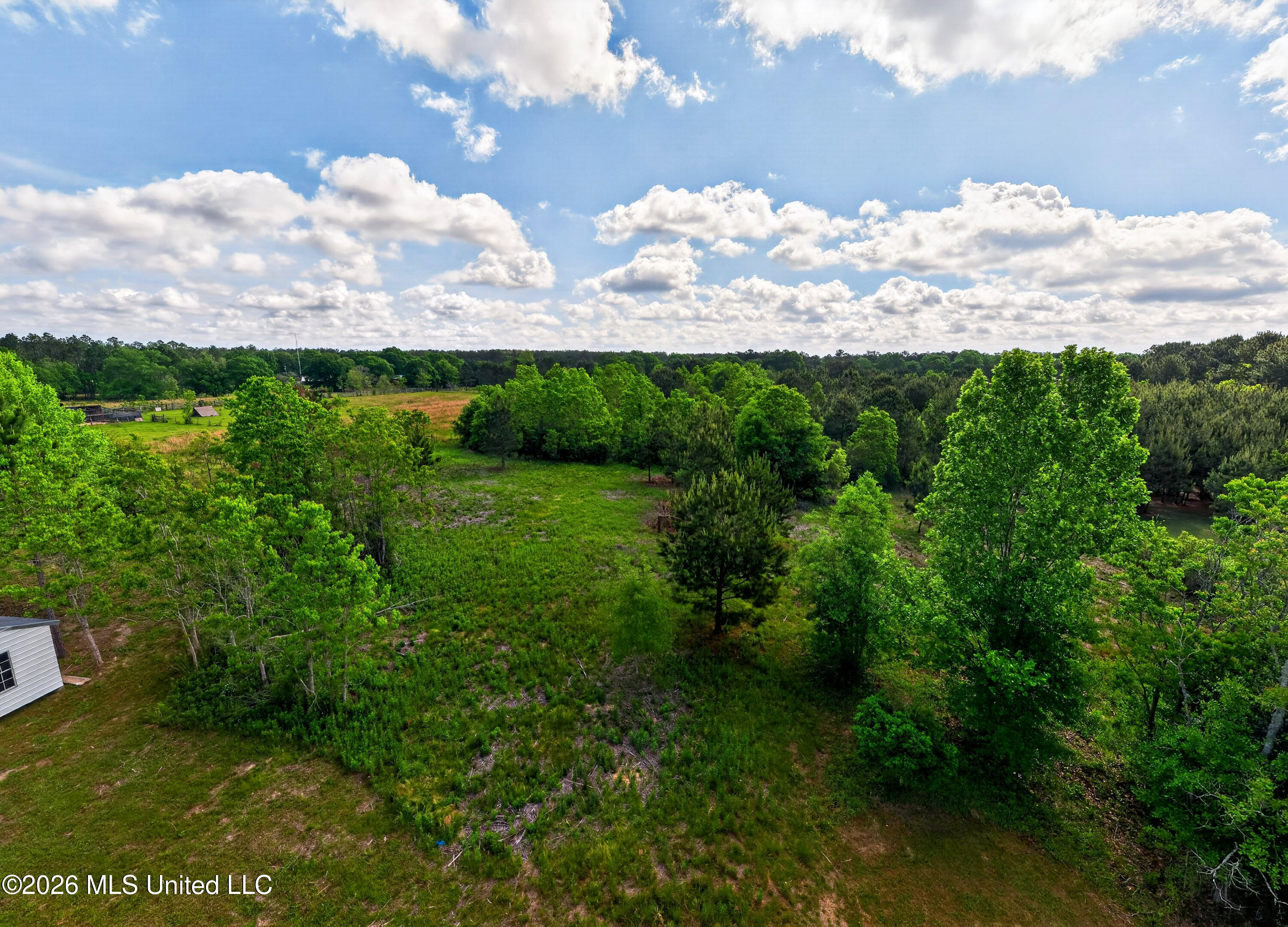 39 Johnson Road Poplarville, MS 39470 - Photo 21 of 23 IMG_5951