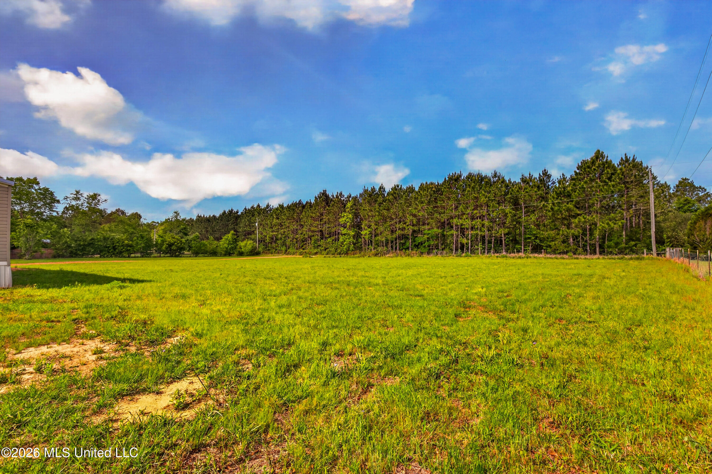 39 Johnson Road Poplarville, MS 39470 - Photo 22 of 23 IMG_5929