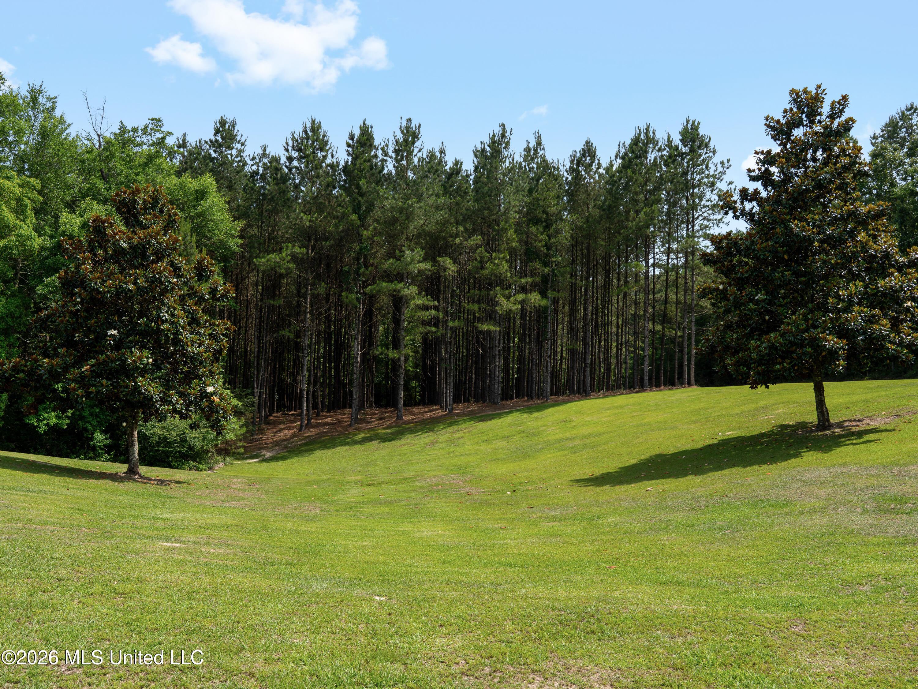 336 Toby Landrum Road Waynesboro, MS 39367 - Photo 6 of 106 A7402981