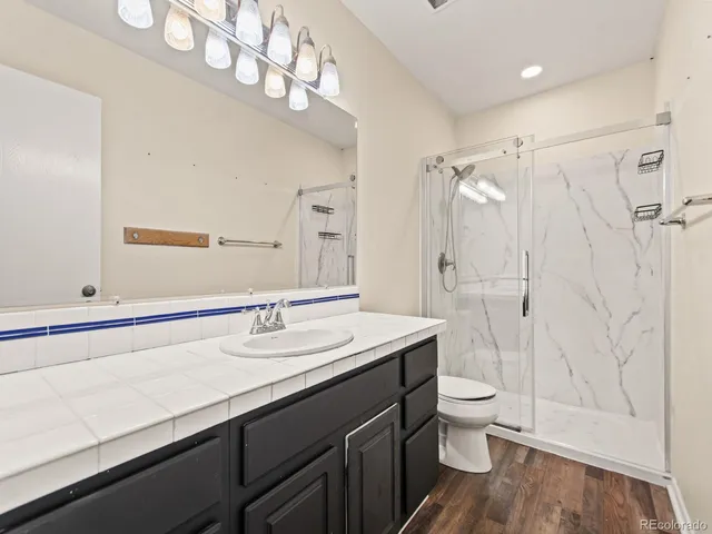a bathroom with a sink toilet vanity and shower